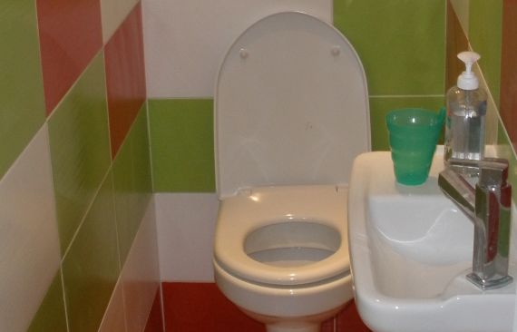 Toilettes colorés